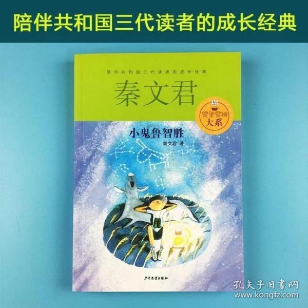救援猫与武士